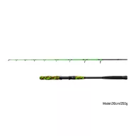 Delphin MONSTRO II harcsázó bot 210cm 250gr