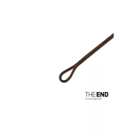 Delphin The End Aramid Leader 100 cm / 60lbs