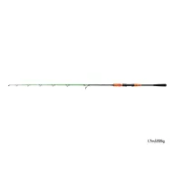 Delphin ARMAGEDON harcsázó bot 170cm 205gr