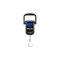 Delphin XILO 50 digitális mérleg 50kg