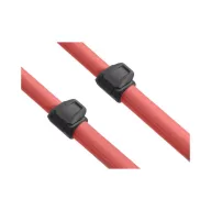 Delphin Bronx Stalx QUEEN Rod Pod hölgyeknek