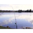 Delphin DANGER CatFISH harcsázó bot 285cm 350g