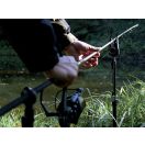 Delphin AMOX 5T DP orsó