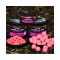Hicarp Capella 365 Serie Wafters Pink citrusos édes kiegyensúlyozott horogcsali