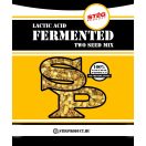 Stég Fermented Two Seeds Mix tejsavas erjesztésű magmix