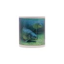 Gardner Two Carp Mug kerámia bögre