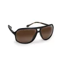 Fox Aviator Brown Lense napszemüveg