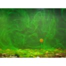 Korda Goo Liquid White Almond Smoke 115ml