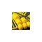 Korda Pop-Up Dumbell lebegő csali imitáció I.B. Yellow 16mm