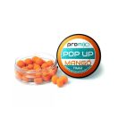 Promix popup 11mm